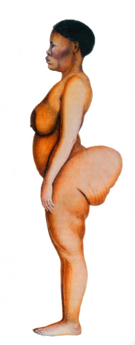 La Venus hotentote • Getty Images