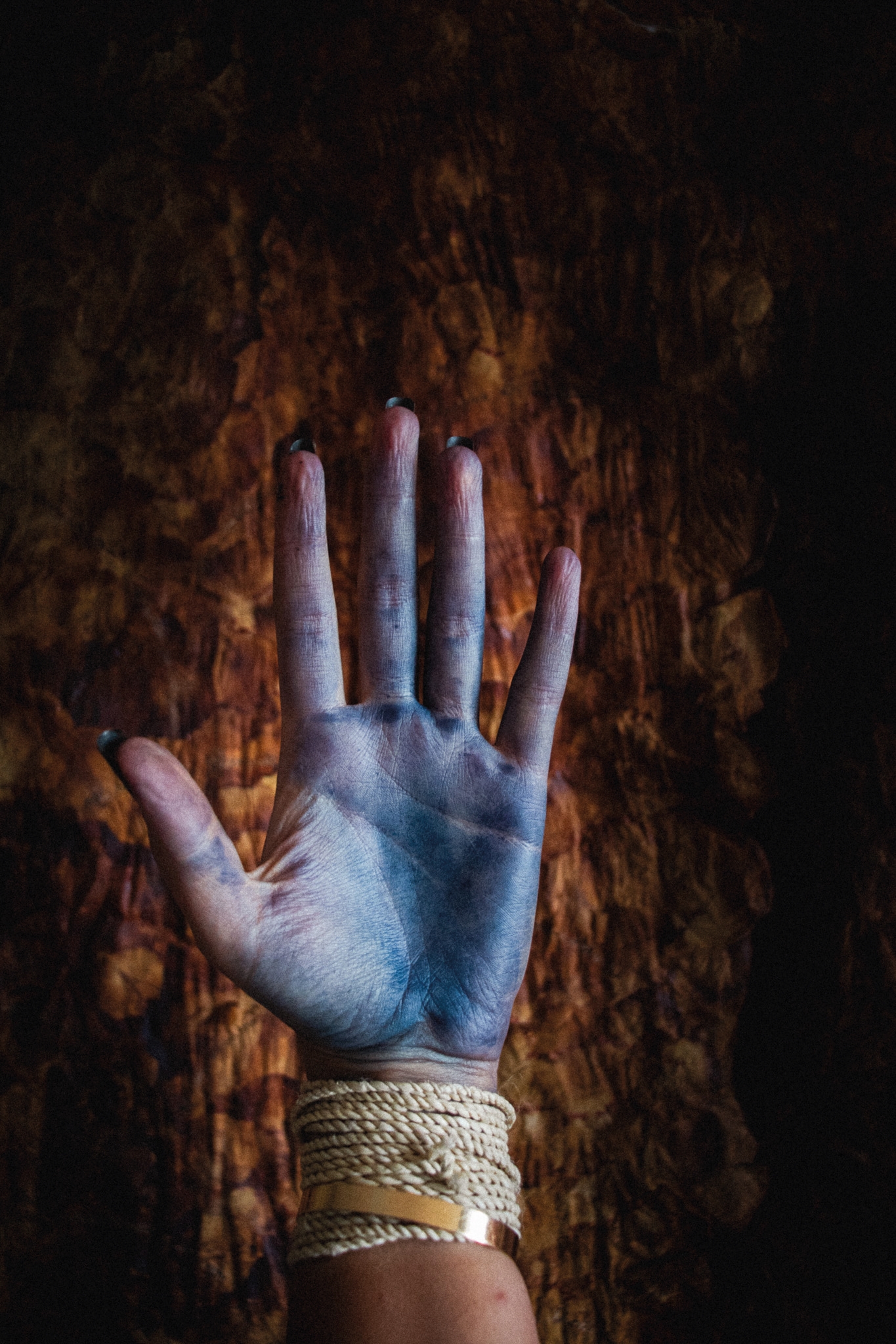 Composición visual por Verónica Santamaría Querubín