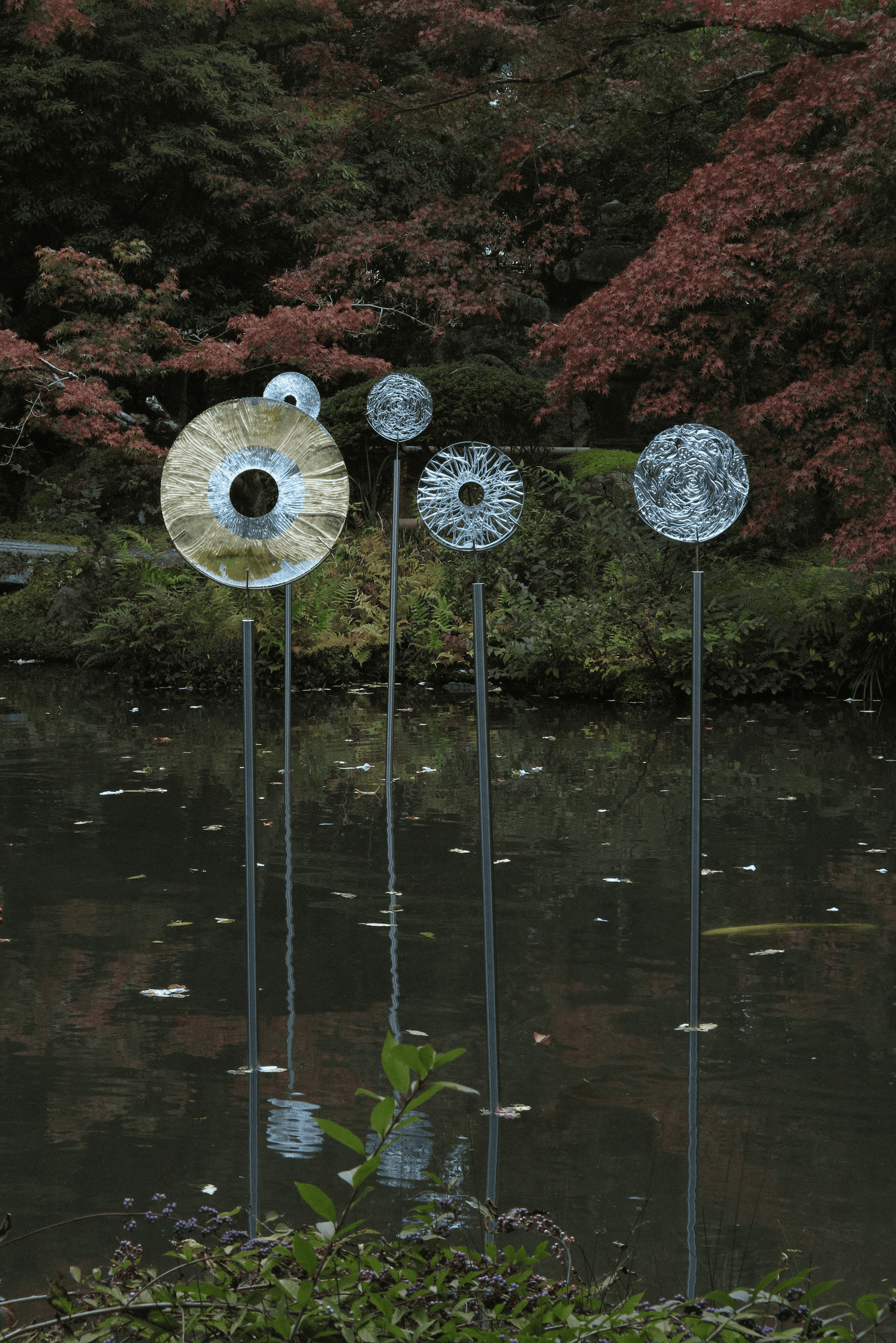 Iguaques, discos tallados en cristal y oro e instalados en el lago del Museo Hashimoto Kansetsu, en Kioto.