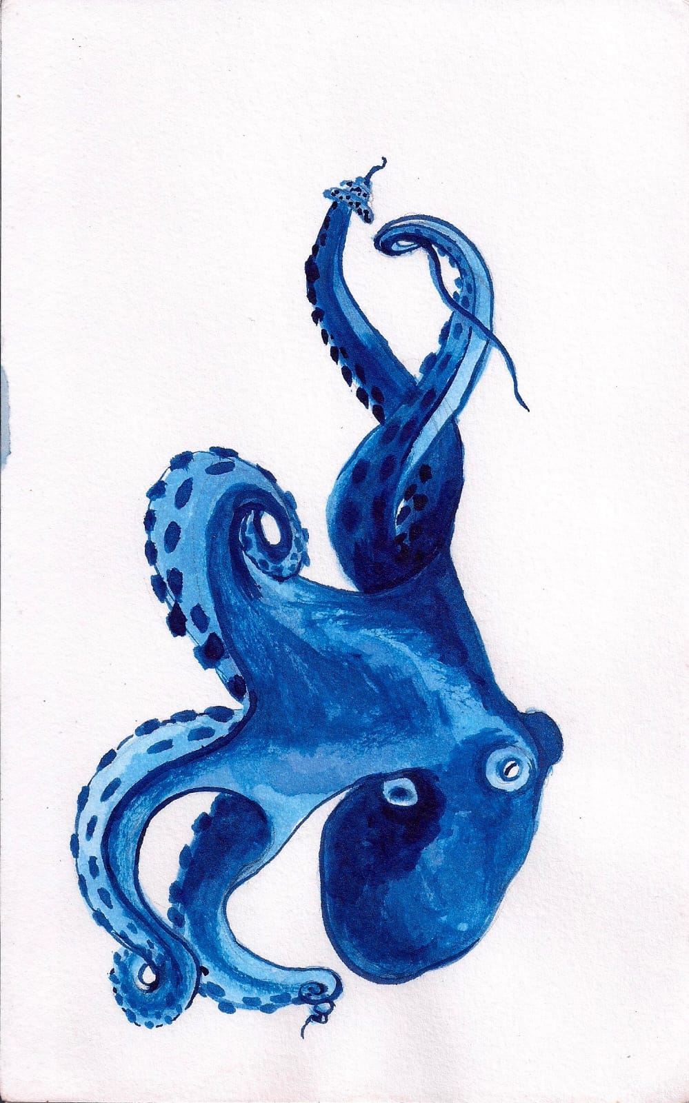 Ilustración de Sara Fernández