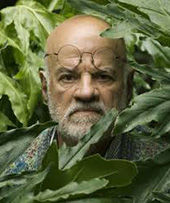 Guillermo Angulo