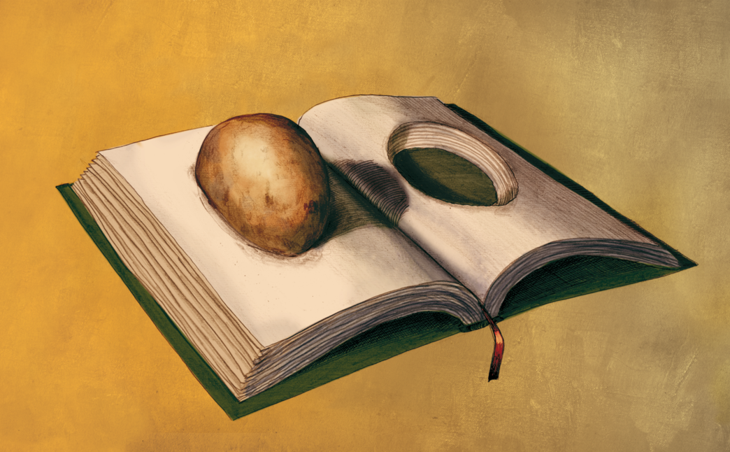 Ilustraciones de José Rosero