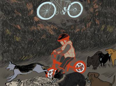 Bici