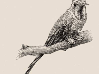 Acertijos animales - Santiago Wills