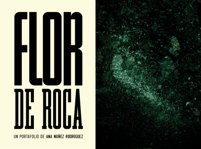 Flor de Roca