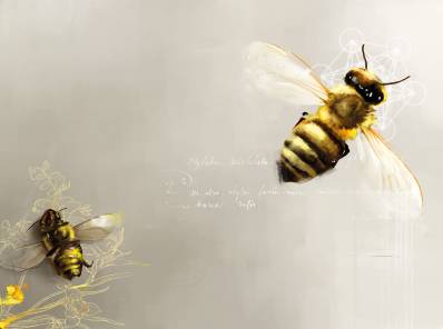 abejas