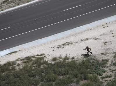Territorio coyote